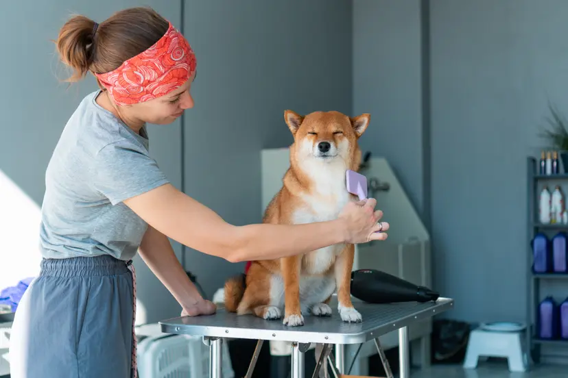 Featured event image